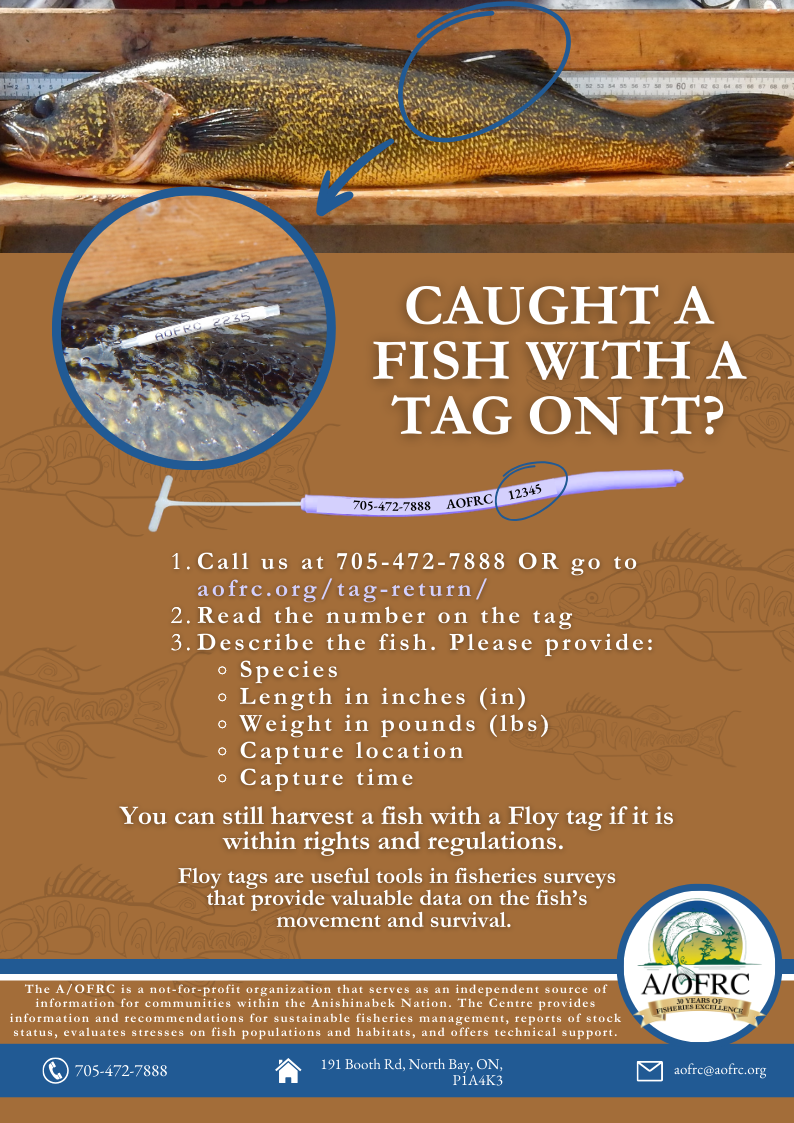 aofrc tagged fish infographic